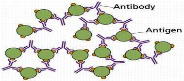 Antigen