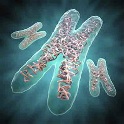Geneticko inzenjerstvo