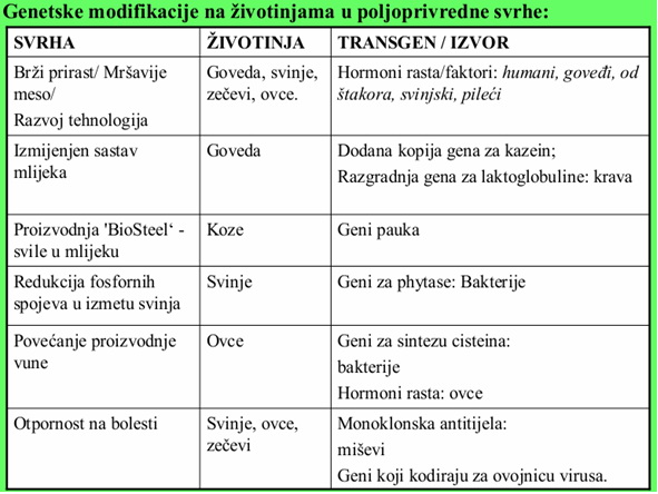 Genetske modifikacije na zivotinjama